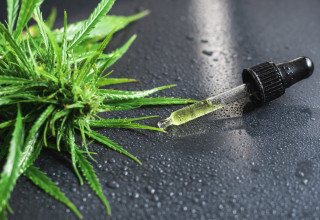 קנאביס (צילום: FREEPIK)