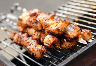 שיפודים (צילום: FREEPIK)