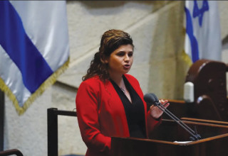 שרן השכל (צילום: דוברות הכנסת, עדינה ולמן)