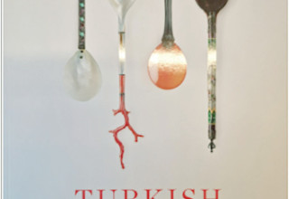 אוכל טורקי  (צילום: יח"צ)