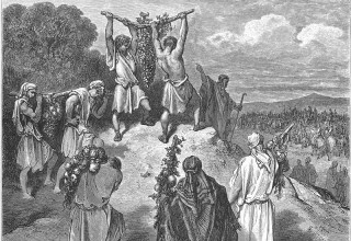 המרגלים מציגים בפני בני ישראל מפרי הארץ. איור מאת גוסטב דורה (צילום: ויקיפדיה)