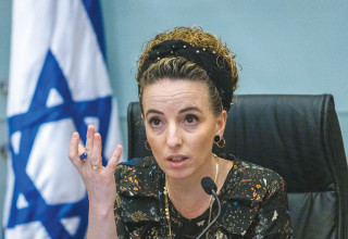 עידית סילמן (צילום: אוליבייה פיטוסי, פלאש 90)