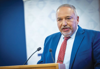 חתול? (צילום: יונתן זינדל, פלאש 90)