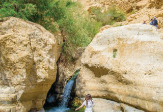 נחל ערוגות, עין גדי (צילום: מנו גרינשפן)