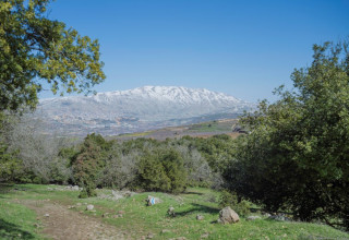 מבט אל החרמון מרמת הגולן (צילום: דובר צה"ל)