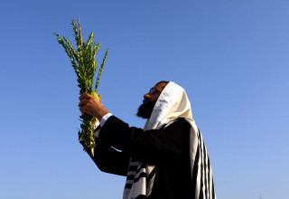 ארבעת המינים (צילום: אביר סולטן, פלאש 90)