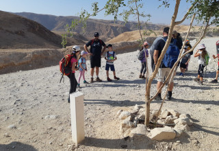 מטיילים בנחל דרגה. צילום עדנאן רשיידה רשות הטבע והגנים (צילום: עדנאן רשיידה רשות הטבע והגנים)