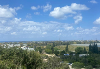 נחל מערות (צילום: דינה רוזנטל, רשות הטבע והגנים)