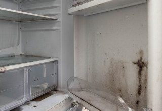 שמר את גופת אביו במקפיא "לא רציתי להיפרד" (צילום: אינג'אימג')