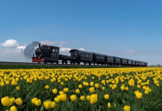 הורן, הולנד (צילום: צילום מסך אינסטגרם)