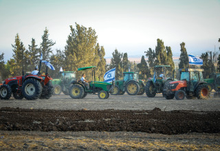 שבועות (צילום: ענת חרמוני, פלאש 90)