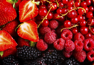 פירות יער (צילום: אינגאימג')