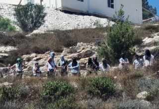 מתנחלים בכפר בורקה בשומרון (צילום: ארגון יש דין)