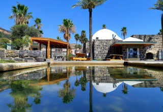 גן לאומי חמת טבריה (צילום: זיו לוי, רשות הטבע והגנים)