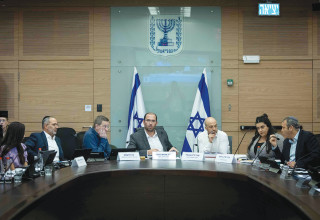 ועדת החוקה (צילום: חיים גולדברג)