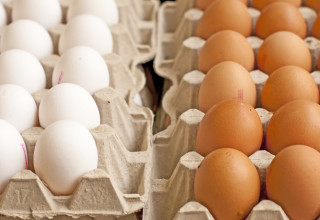 ביצים (צילום:  אינגאימג')