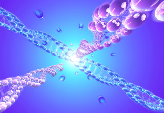 DNA (צילום: אינגאימג')