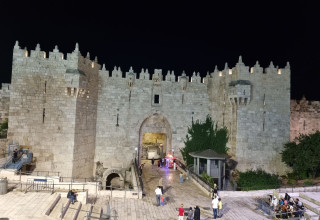 שער שכם  (צילום: יוליה ברזון)