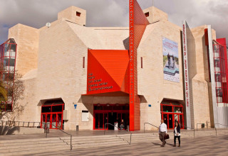 סינמטק תל אביב חוגג 50 (צילום: סינמטק תל אביב)