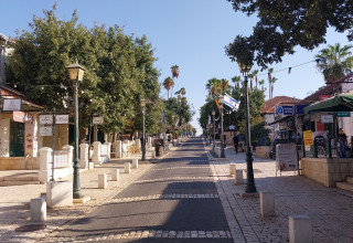 המדרחוב של זכרון יעקב (צילום: איציק בן דב, החברה להגנת הטבע)