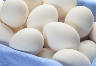 ביצים (צילום:  אינג'אימג')