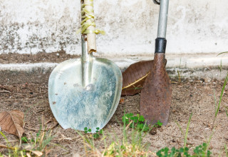 חפר ברצפת ביתו כדי למצוא מטמון אך זה נגמר בטרגדיה (צילום:  אינג'אימג')