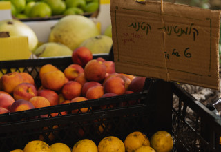 שבוע "מאדמה לאדם" (צילום:   עדן סעדה)