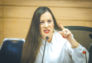 טלי גוטליב (צילום: חיים גולדברג, פלאש 90)