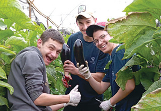 תלמידים מאמית בר אילן מתנדבים בחקלאות בערבה התיכונה (צילום: ישי ליפשיץ)