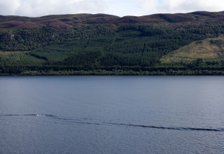 אגם לוך, סקוטלנד (צילום:  רויטרס)