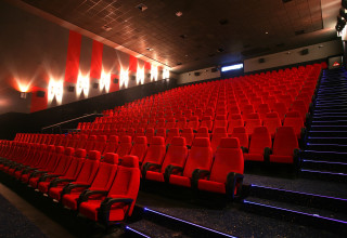 אולם קולנוע - רשת פלאנט (צילום: יח"צ)