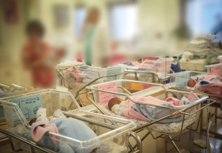 תינוקות בבית חולים (צילום:  הדס פרוש, פלאש 90)