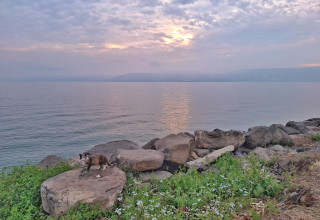 חוף הכנרת (צילום: תמי נחמיה, איגוד ערי כנרת)