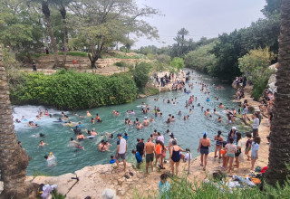 הסחנה (צילום:  אסף דורי, רשות הטבע והגנים)