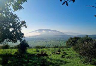 הר תבור  (צילום: פנינה צייזלר, קק"ל)