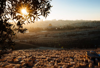 הר הזיתים (צילום:  דודי ועקנין)