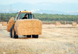 חציר טרקטור (צילום: גילי יערי, פלאש 90)