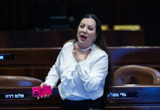 טלי גוטליב (צילום: יונתן זינדל, פלאש 90)