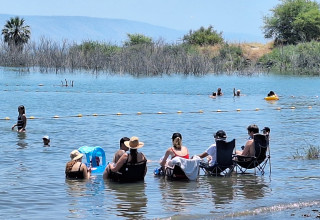 נופשים בחוף מפרץ אמנון בכנרת (צילום: אושרי בן דור, איגוד ערים כנרת)