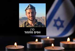 ווסים מחמוד (צילום:  דובר צה"ל)