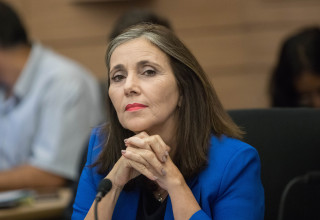 יוליה שמאלוב-ברקוביץ' (צילום:  נועם ריבקין פנטון, פלאש 90)