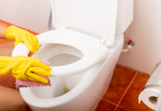 כל כמה זמן אתם מחליפים את מושב האסלה שלכם? (צילום: אינג'אימג')