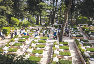 חלקה צבאית (צילום: אוליבייה פיטוסי, פלאש 90)