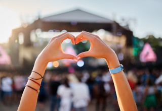 פסטיבל מוזיקה (צילום: שאטרסטוק)