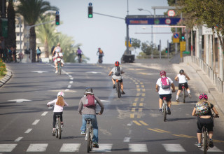 רוכבים ביום כיפור  (צילום: מרים אלסטר, פלאש 90)