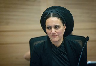 לימור סון הר מלך (צילום: חיים גולדברג, פלאש 90)