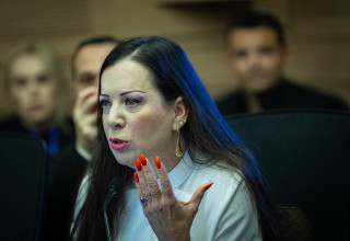 טלי גוטליב (צילום: יונתן זינדל, פלאש 90)