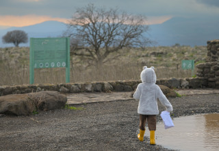 מזג אוויר חורפי (צילום: מיכאל גלעדי, פלאש 90)
