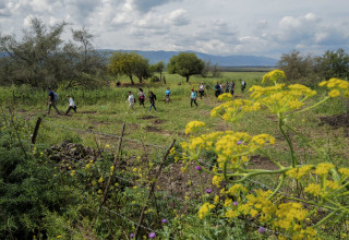 מזג אוויר חורפי ושמשי (צילום: מיכאל גלעדי, פלאש 90)
