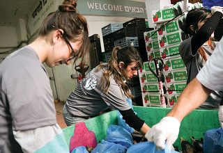 אריזת סלי מזון לחלוקה - עמותת בית לחם יהודה  (צילום: אוריאל דולינסקי)